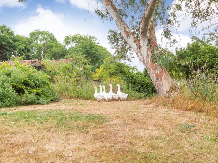 The Hen House, East Anglia