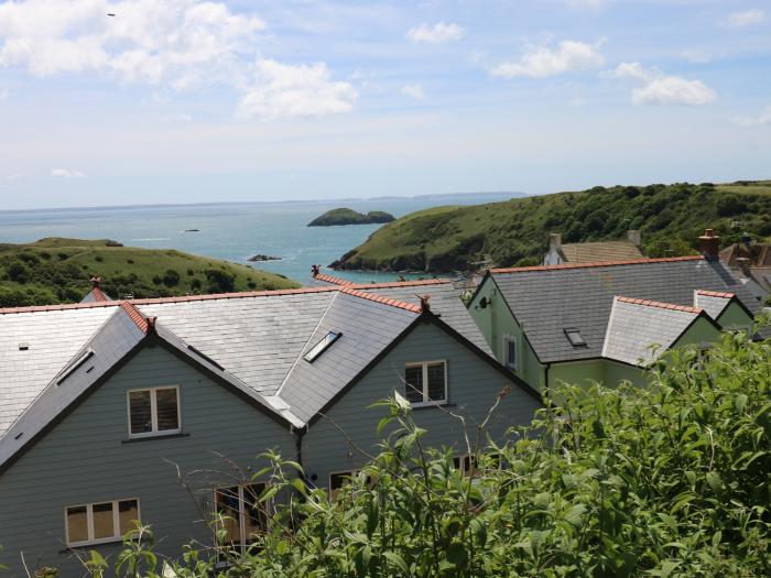 Town House, Pembrokeshire