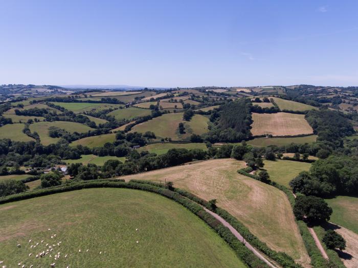 Fig Tree Cottage, Devon