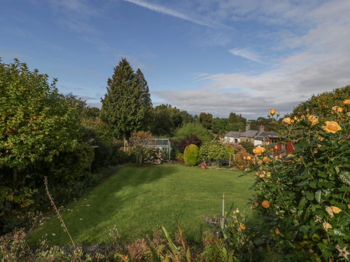 Home View, Forest of Dean