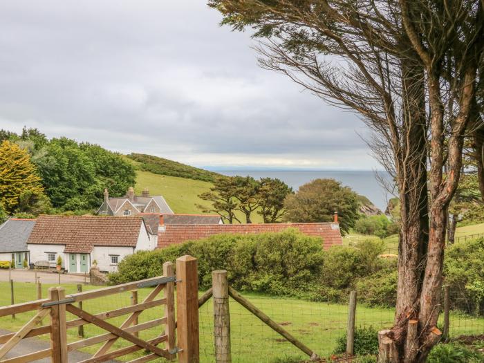 Wren Cottage, Ilfracombe