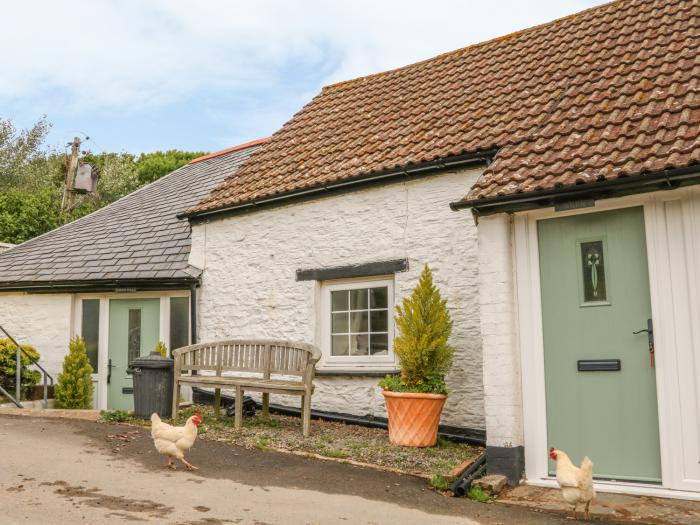 Wren Cottage, Ilfracombe