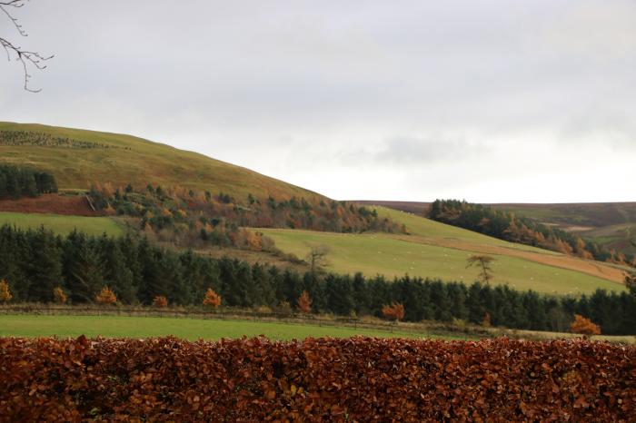 The Grieves Cottage, East Lothian