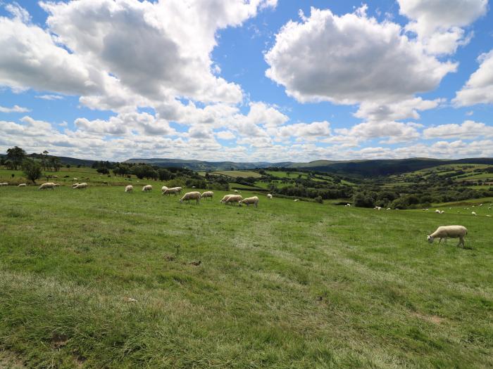 Sheperd's View, Powys