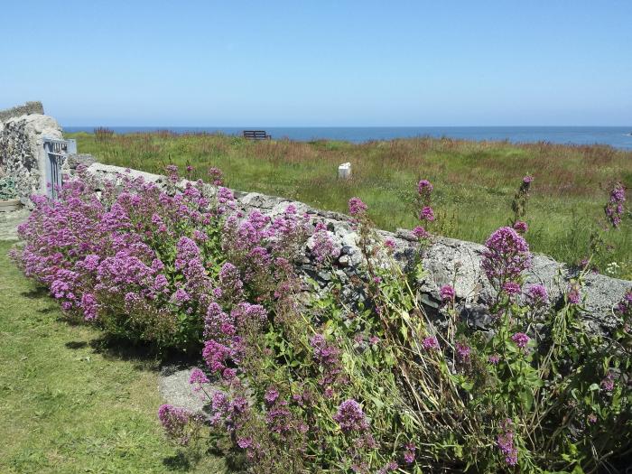 Angorfa, Wales