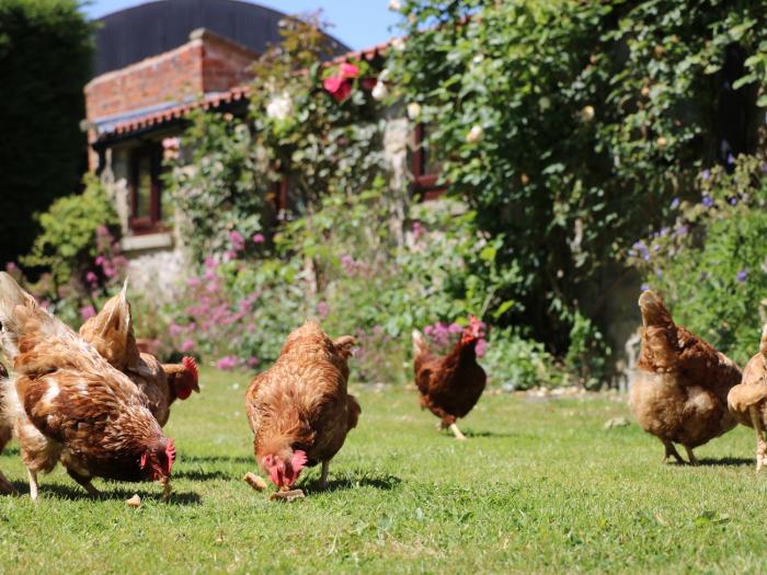 Chestnut Cottage, Yorkshire