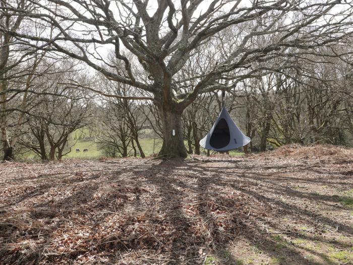 Pheasant Lodge, Wimborne Minster