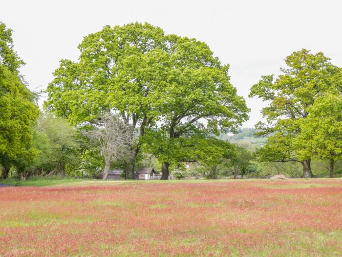 Pheasant Lodge, Wimborne Minster