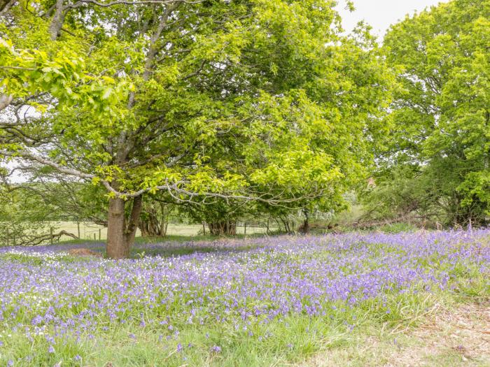 Pheasant Lodge, Wimborne Minster