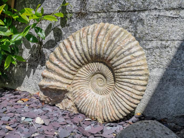 Ammonite Cottage, Dorset