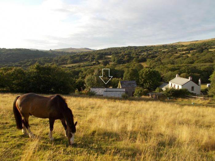 Buster Barn, Devon