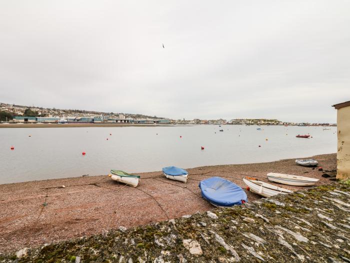 The Dolphins, Devon