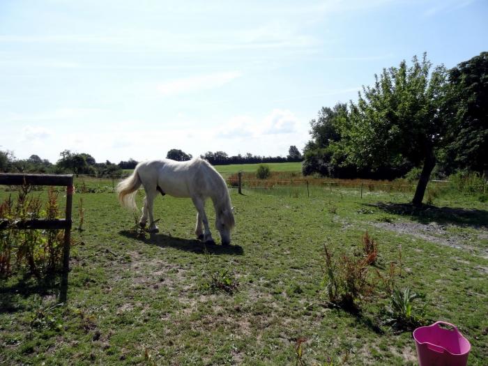 Pittards Farm Cottage, Somerset