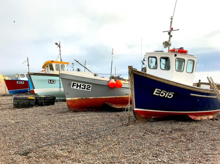 2 Smugglers Close, Branscombe