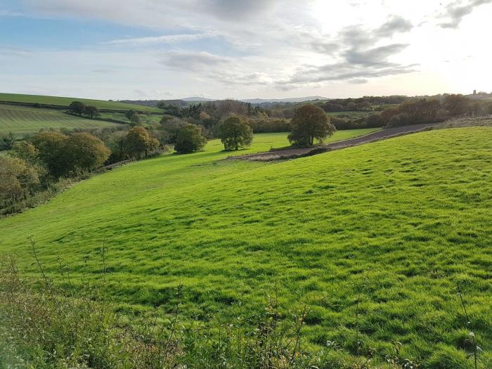 Hedgelea, North tawton