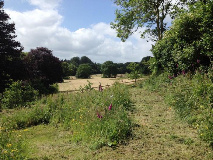 Hedgelea, North tawton