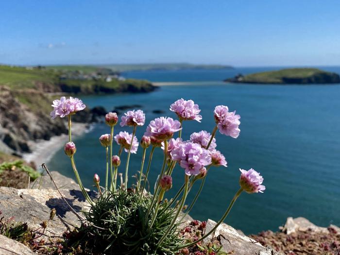 Bramble Cottage, Devon