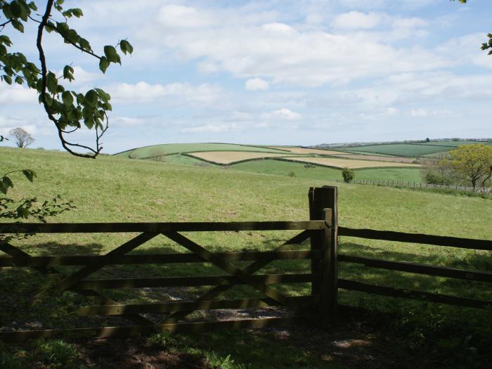 The Music Room, Devon