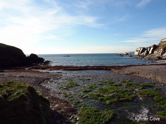 Ayrmer Path, Devon