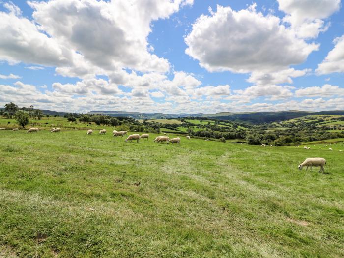 Mountain View, Powys