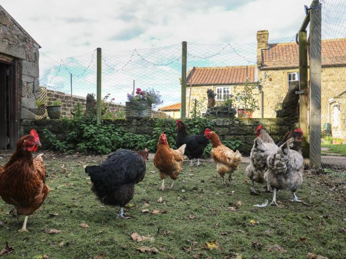 Church Farm Annex, Yorkshire