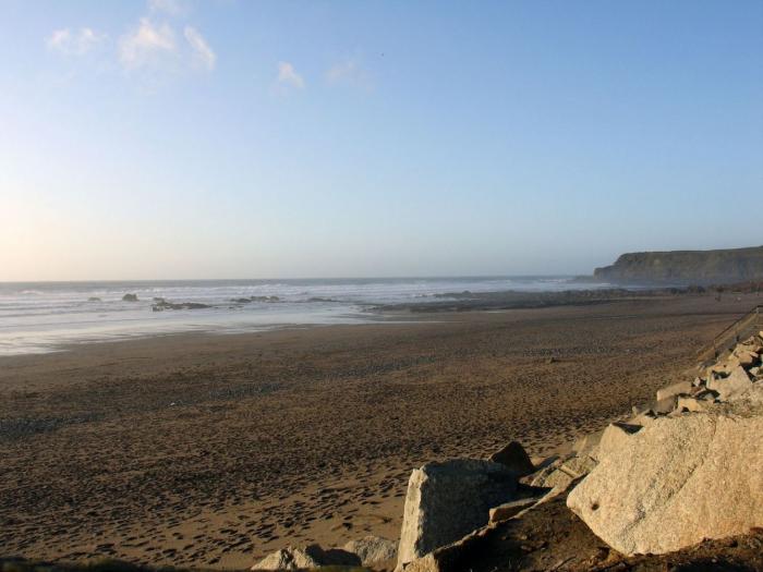 Driftwood, Bude