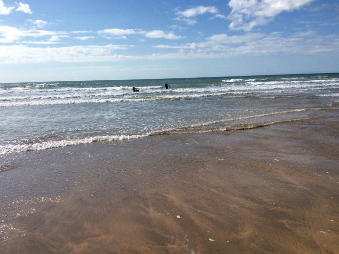 Driftwood, Bude