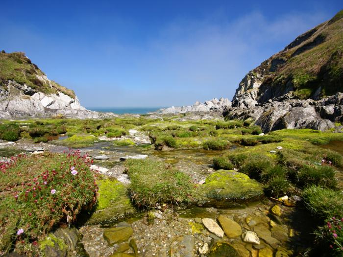 Seal Cottage, Woolacombe