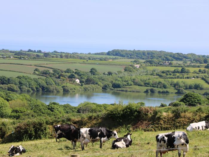 Cabin, Cornwall