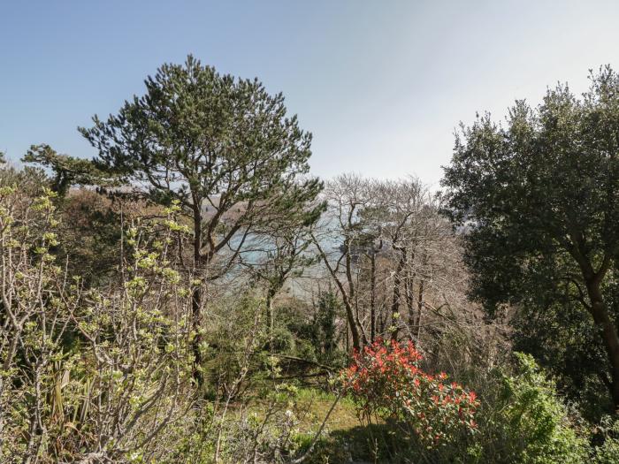 The Wood, Salcombe