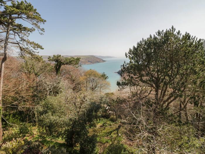 The Wood, Salcombe