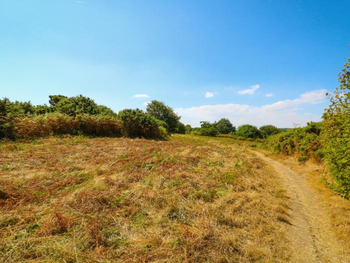 Howards Hill West, East Anglia