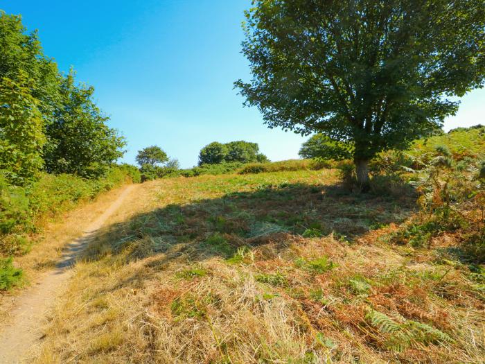 Howards Hill West, East Anglia