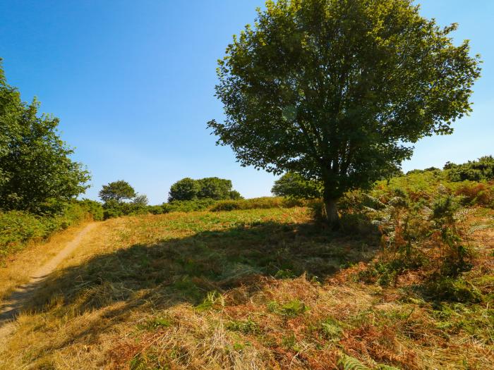 Howards Hill West, East Anglia