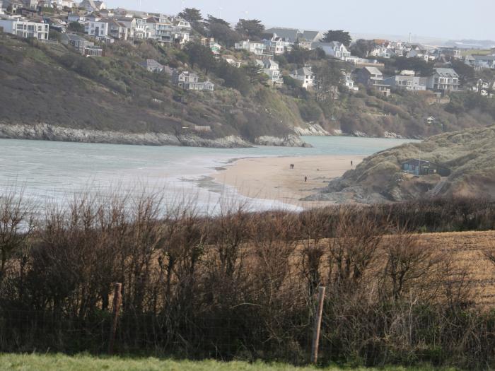 Cormorant, Crantock