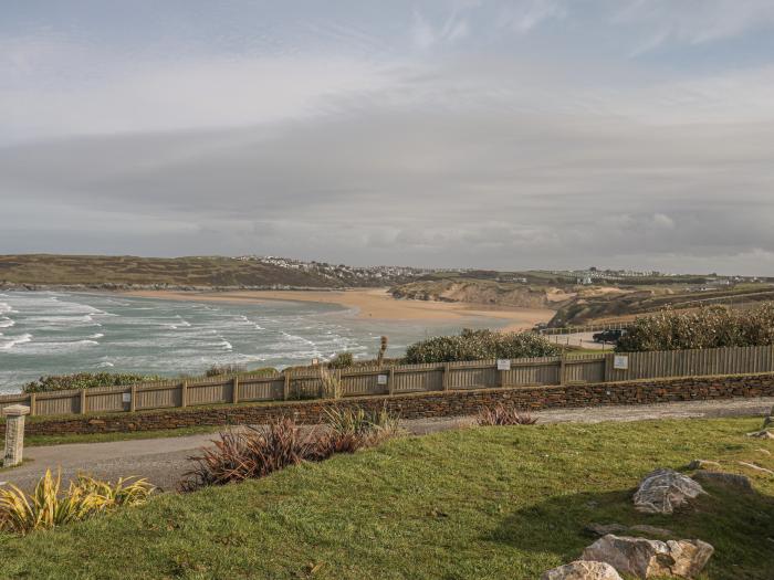 Cormorant, Crantock