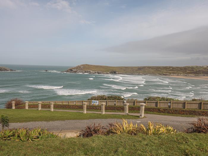 Cormorant, Crantock