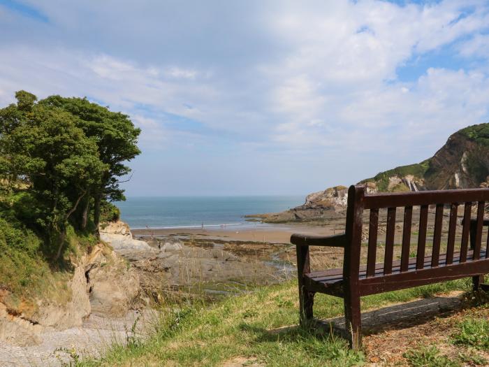 The Engine Field, Combe Martin