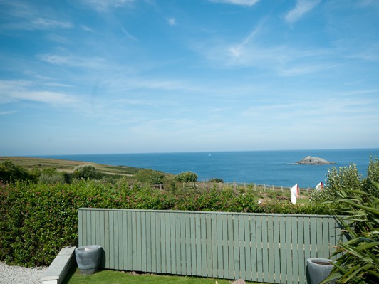 Kittiwake, Crantock, Cornwall