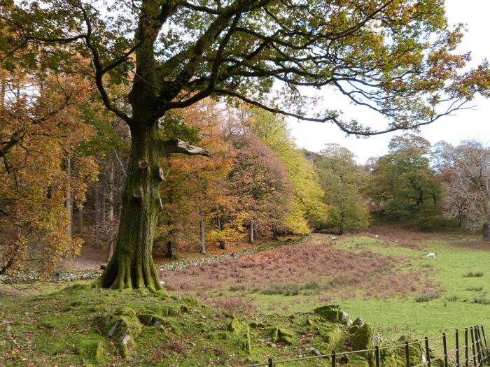 Green Hills Lodge, Ulverston