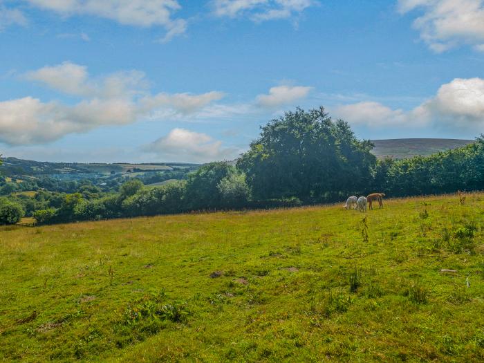 Creenagh's Cottage, Somerset