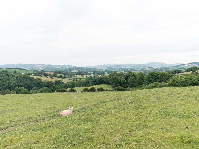 Waggoners Cottage, Powys