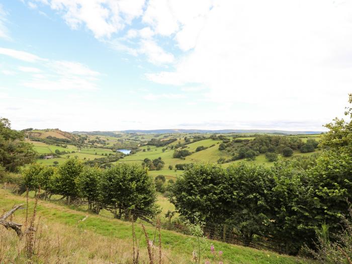 The Firs, Powys