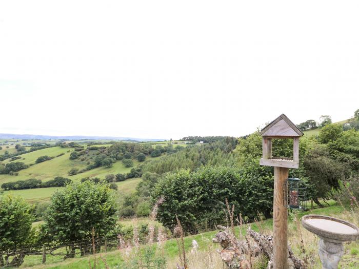 The Firs, Powys