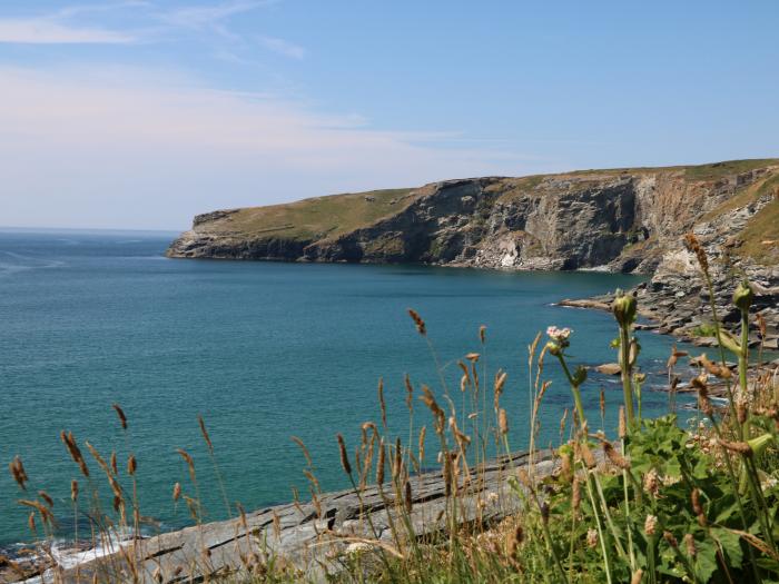 Gull Rock, Cornwall