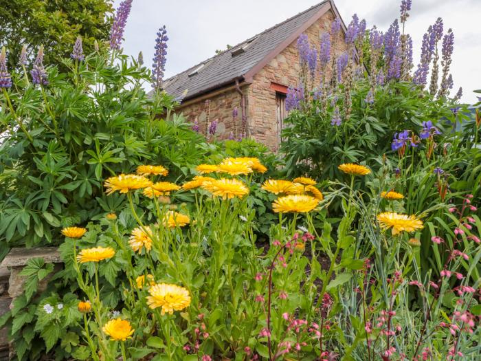 Rodley Manor Retreat, Bloemuns, Lydney