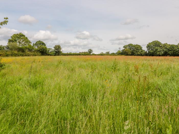 Rodley Manor Retreat, Bloemuns, Lydney