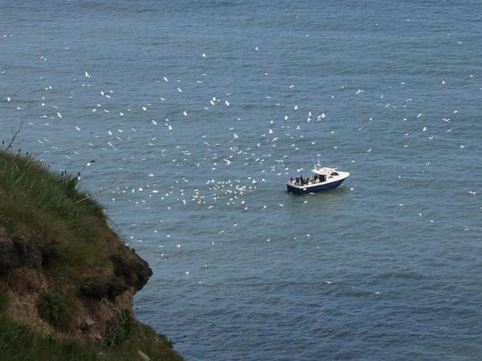 Harrys Cottage, Flamborough