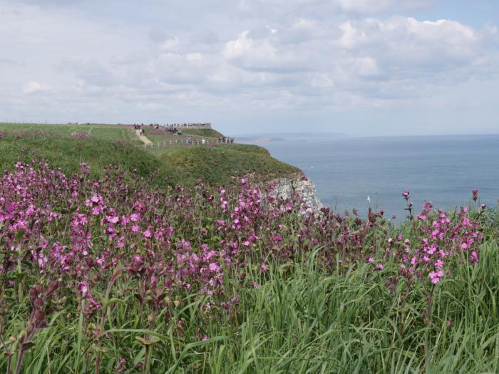 Harrys Cottage, Flamborough