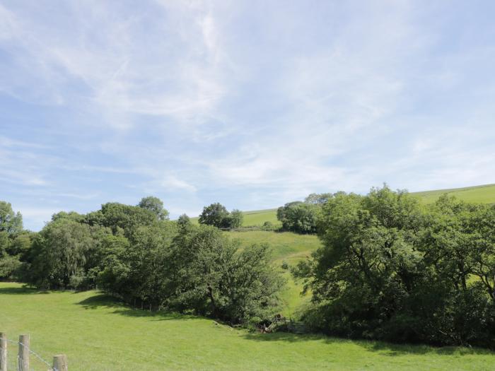 Acorns, Cumbria